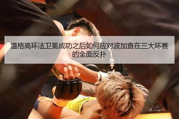 wen-ge-gao-huan-fa-wei-mian-cheng-gong-zhi-hou-ru-he-ying-dui-bo-jia-cha-zai-san-da-huan-sai-de-quan-mian-fan-pu-3-233.jpg