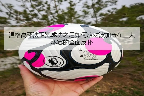 温格高环法卫冕成功之后如何应对波加查在三大环赛的全面反扑